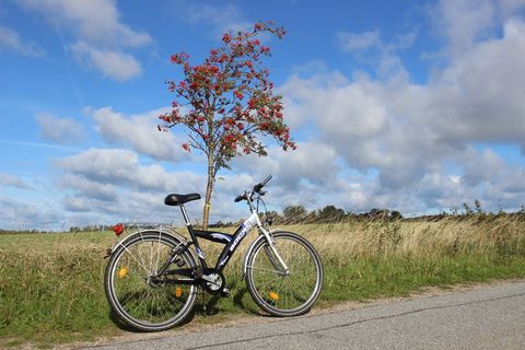 自行车, 山灰, 天空, 云, 自然, 水果, 自行车, 交通