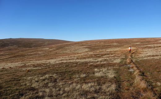 挪威，维滕，旅行者，旅行，步行，蓝天，米色，山脉