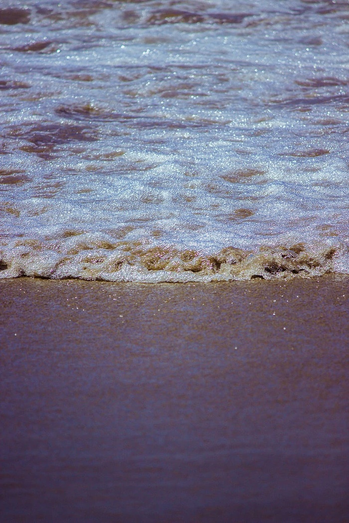 自然，水，地毯，海洋，海洋，户外，海滩，动物