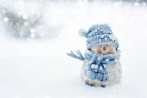雪人,穿着,针织,帽子,雪,冬天,下雪,季节 雪人,穿着,针织,帽子,雪,冬天,下雪,季节