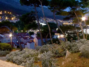 城市公园，夜晚，灯光，树木，夜晚，灯光，胡人，房屋，城市