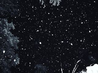 美国，里奇伍德，冬天，下雪，下雪，夜晚，太空，星际空间