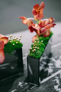 长方形盒子里的小型观赏植物 长方形盒子里的小型观赏植物