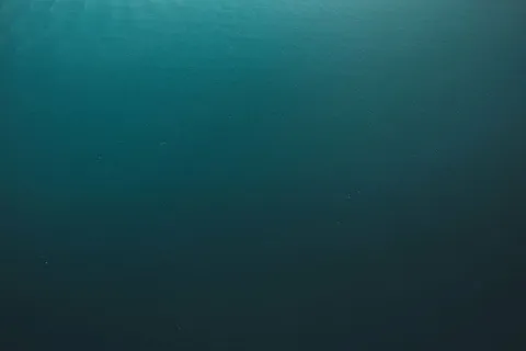 无标题，海洋，海洋，水，航空，视图，背景，摘要