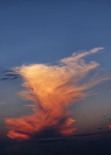 自然，云，天空，云-天空，日落，自然之美，风景-自然，橙色