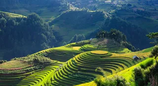 航空、摄影、绿化、野山、风景、丝绸、梯田、木仓柴、延白越南