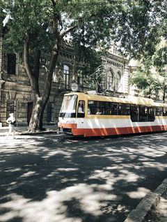 黄色、白色和红色的巴士停在树和建筑物旁边