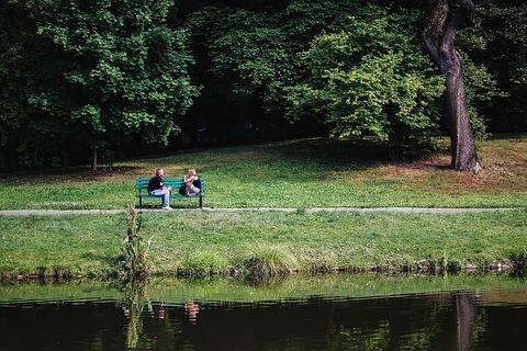 公园里阳光明媚的一天