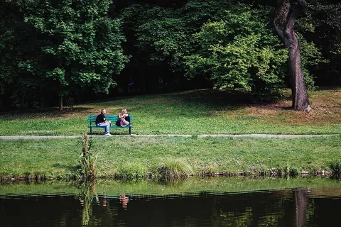 公园里阳光明媚的一天