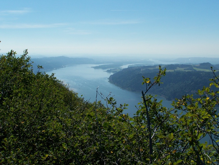 哥伦比亚峡谷，河流，峡谷，风景，自然之美，植物，风景-自然，宁静