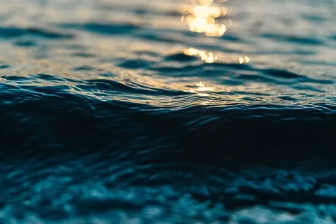 特写,照片,身体,水,水体,波浪,涟漪,反射 特写,照片,身体,水,水体,波浪,涟漪,反射