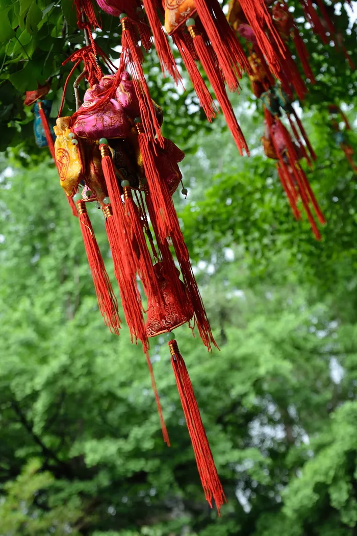 金立, 许愿树, 红色, 邮袋, 挂, 前景聚焦, 植物, 没有人