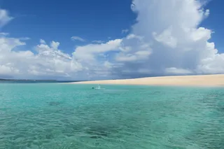 蓝绿色身体、水、多云、天空、无足类、bibble、Erinacial、海洋