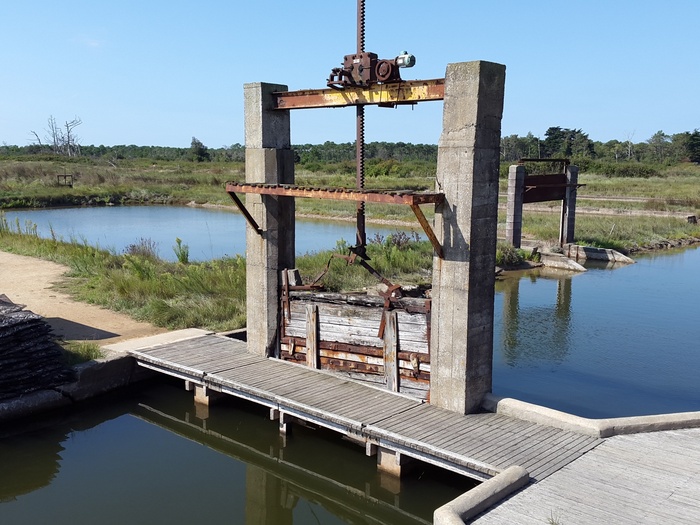 洛克，海，法国，牡蛎养殖场，牡蛎，水，湖，天空