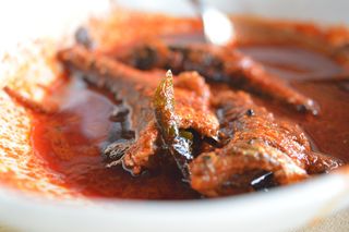 鱼咖喱，红色肉汁，鱼，印度食品，非素食，海鱼，海鲜，日晒