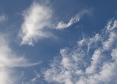 蓬松的,九月,早晨,天景,早晨的云,云-天空,天空,美丽的大自然 蓬松的,九月,早晨,天景,早晨的云,云-天空,天空,美丽的大自然