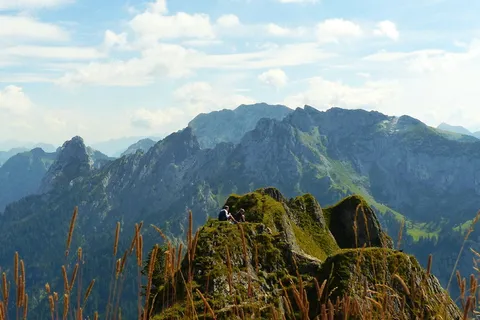 branderschrofen,东峰,草叶,kenzengebirge,prince hill,geiselstein,矿头,分叉锯齿状岩石 branderschrofen,东峰,草叶,kenzengebirge,prince hill,geiselstein,矿头,分叉锯齿状岩石