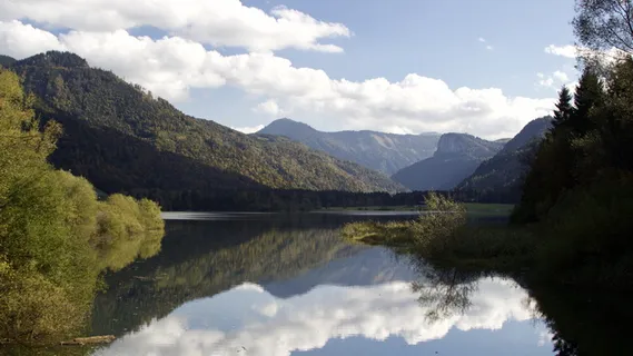 hintersee、faistenau、lake、water、austria、salzburger land、lakeside、clear water hintersee、faistenau、lake、water、austria、salzburger land、lakeside、clear water