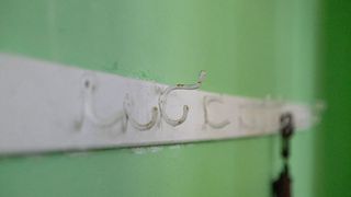 白墙钩，衣架，文字，旧校舍，美国，乔安娜，资深大律师，衣钩，笔迹