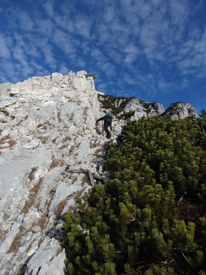 traunstein，攀登，山脉，岩壁，高山，深，裸露，石灰岩阿尔卑斯山