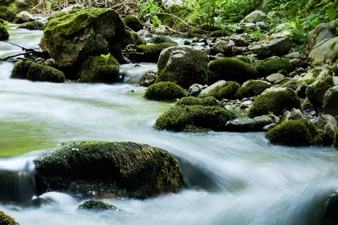 塞尔维亚,拉伊夫奇,森林,瀑布自然,瀑布,水,冷,新鲜 塞尔维亚,拉伊夫奇,森林,瀑布自然,瀑布,水,冷,新鲜