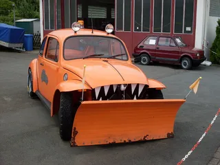 甲虫，雪上飞行，搞笑，客房服务，冬季，冬季服务，散射，汽车