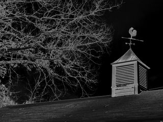 灰度图片，风向标，屋顶，枯萎，树，风向标，连接词，谷仓