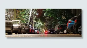 各色汽车、停车场、树木、街道、停车场、汽车、城市、夜晚