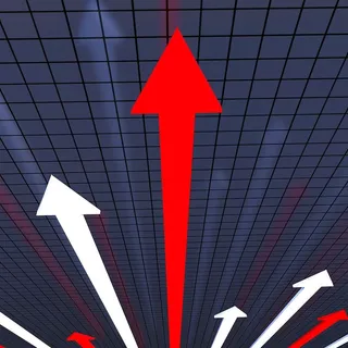 箭头表示进度报告和文档的图表