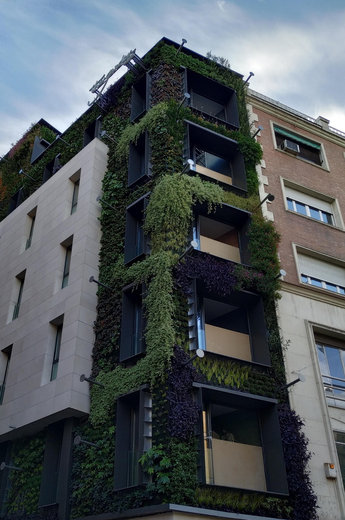 西班牙，马德里，calle de la montera 37，street，edificio，construccion，building，architecture