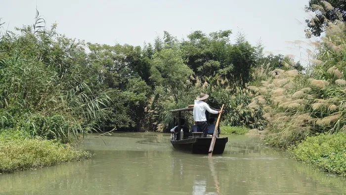 浙江省旅游业，2014年，河边、树木、水、植物、真人、交通