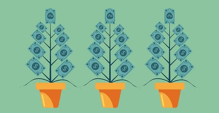 钱长在树上——资本增值概念