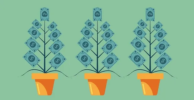 钱长在树上——资本增值概念