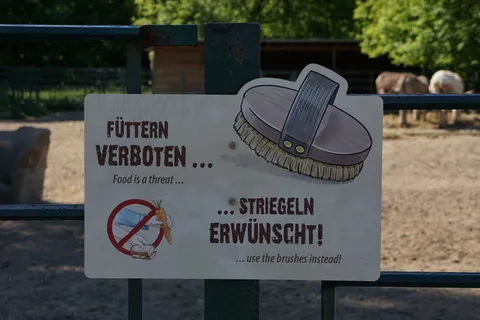 盾，标志，板，标记，允许，通信，文本，西文