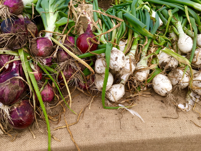 萝卜、蔬菜、绿色、生的、食品、健康、天然、市场