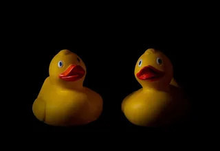 玩具，鸭子，鸭子，橡皮鸭，橡皮鸭，沐浴玩具，黄色，摄影棚拍摄