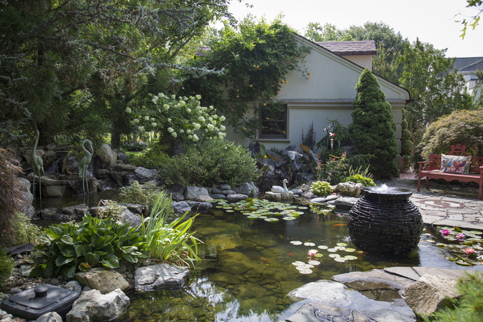 锦鲤池，池塘，水，锦鲤，鱼，锦鲤，鱼，花园，自然