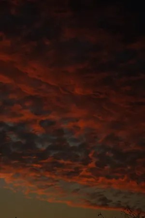 天空，云天，日落，自然之美，宁静，风景-自然，橙色，宁静的景色