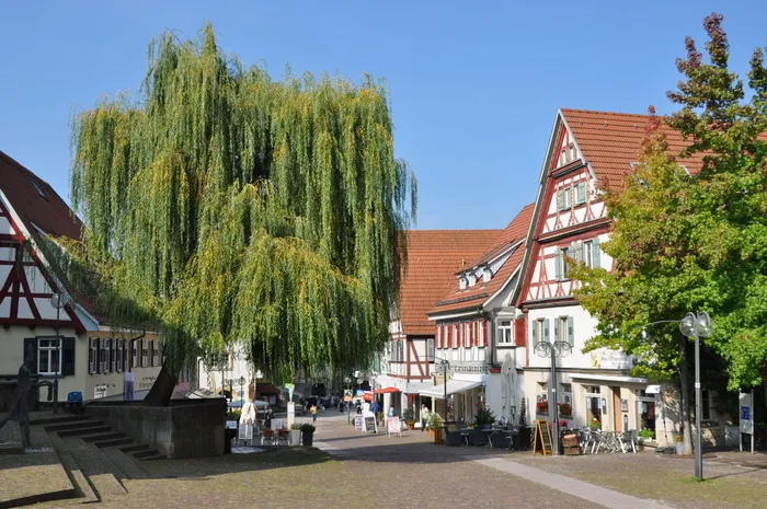 plochingen、neckar、市场、步行区、建筑、建筑外观、建筑结构、树木