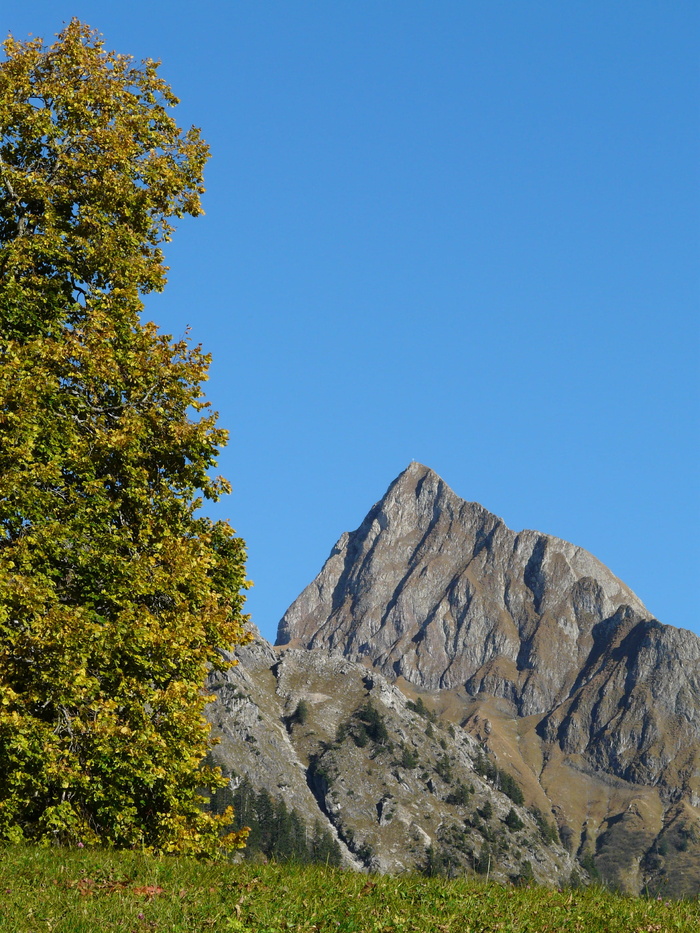 Höfats，Mountain，postkartenmotiv，日历图像，秋天，山脊，徒步旅行，登山