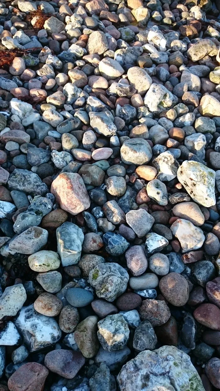 波罗的海海滩，石头，波罗的海，海滩，丹麦波罗的海海岸，卵石，卵石海滩，海岸