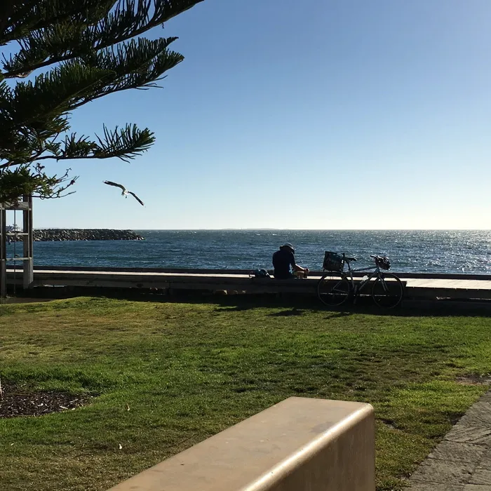 弗雷曼特尔、海滩、珀斯、自行车、海滩边放松、早安、水、植物