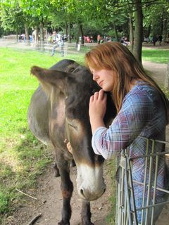 poitou esel, 旧金山, poitou esel, 旧金山, 家养动物, 友谊, 牲畜, 一种动物, 农场
