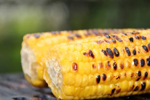 烤玉米,玉米棒,甜玉米,食物,玉米,吃,食物和饮料,黄色 烤玉米,玉米棒,甜玉米,食物,玉米,吃,食物和饮料,黄色
