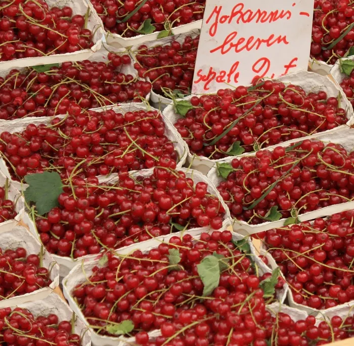 葡萄干、水果、市场、雪兰、销售、农民当地市场、食品、食品和饮料