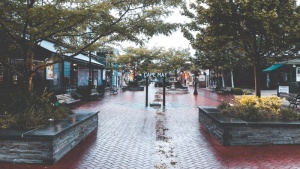 美国五月角，雨天，树，购物，潮湿，下雨，安静