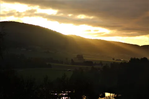 klaffer，秋天，树，落叶林，树叶，金秋，心情，落叶树