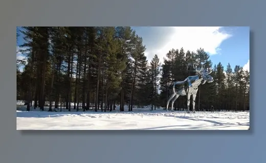 树旁的银色驼鹿雕像