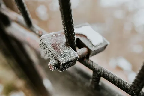金属栅栏里的狗 金属栅栏里的狗
