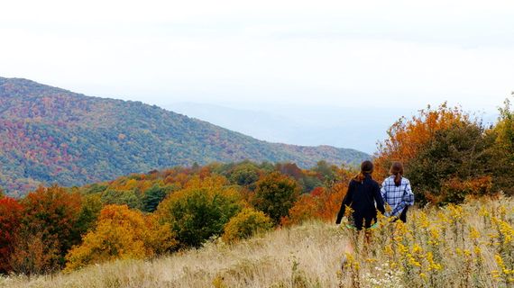 美国，最大补丁，树，秋天，跟随，朋友，山，秋天